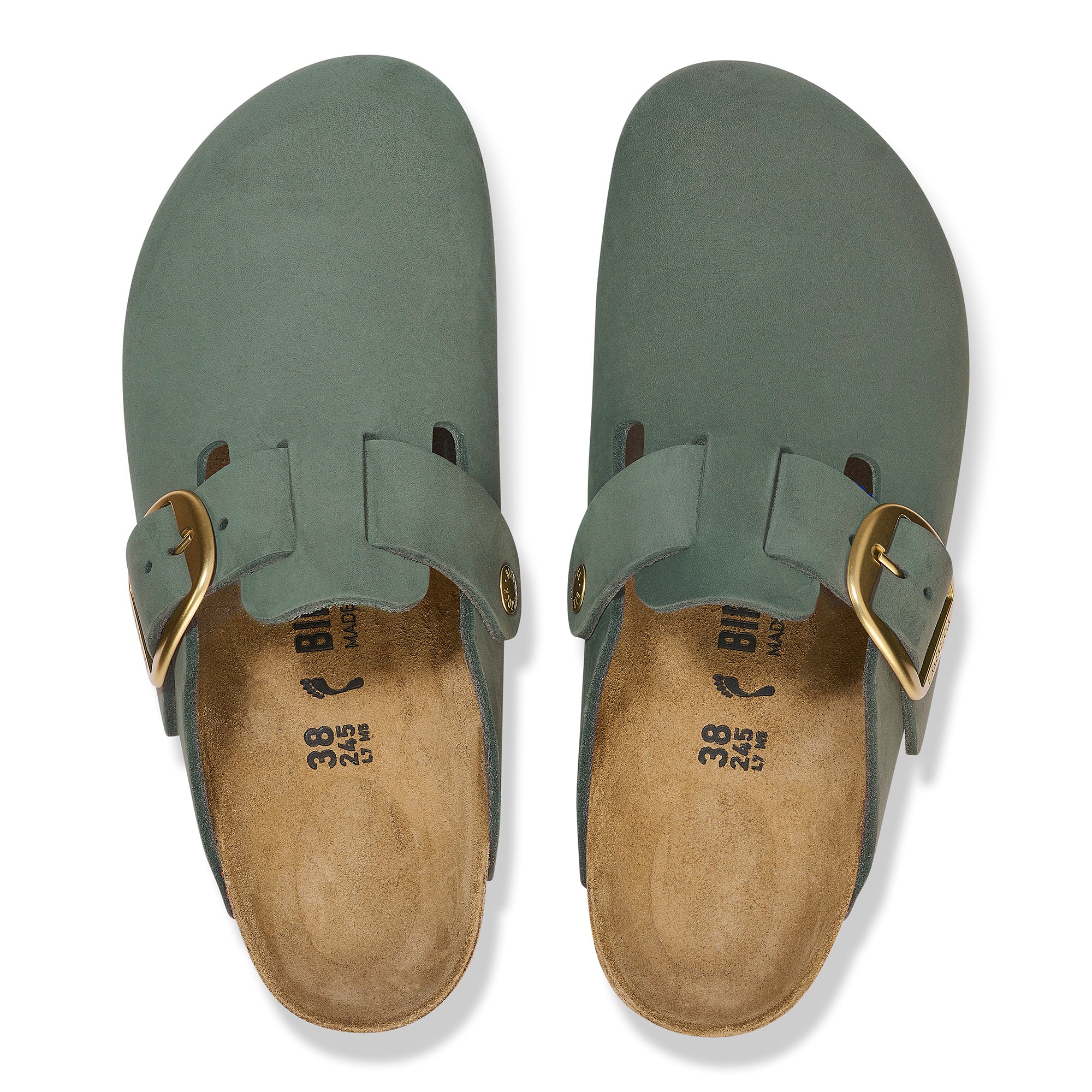 Boston BB Thyme Narrow - Image 3