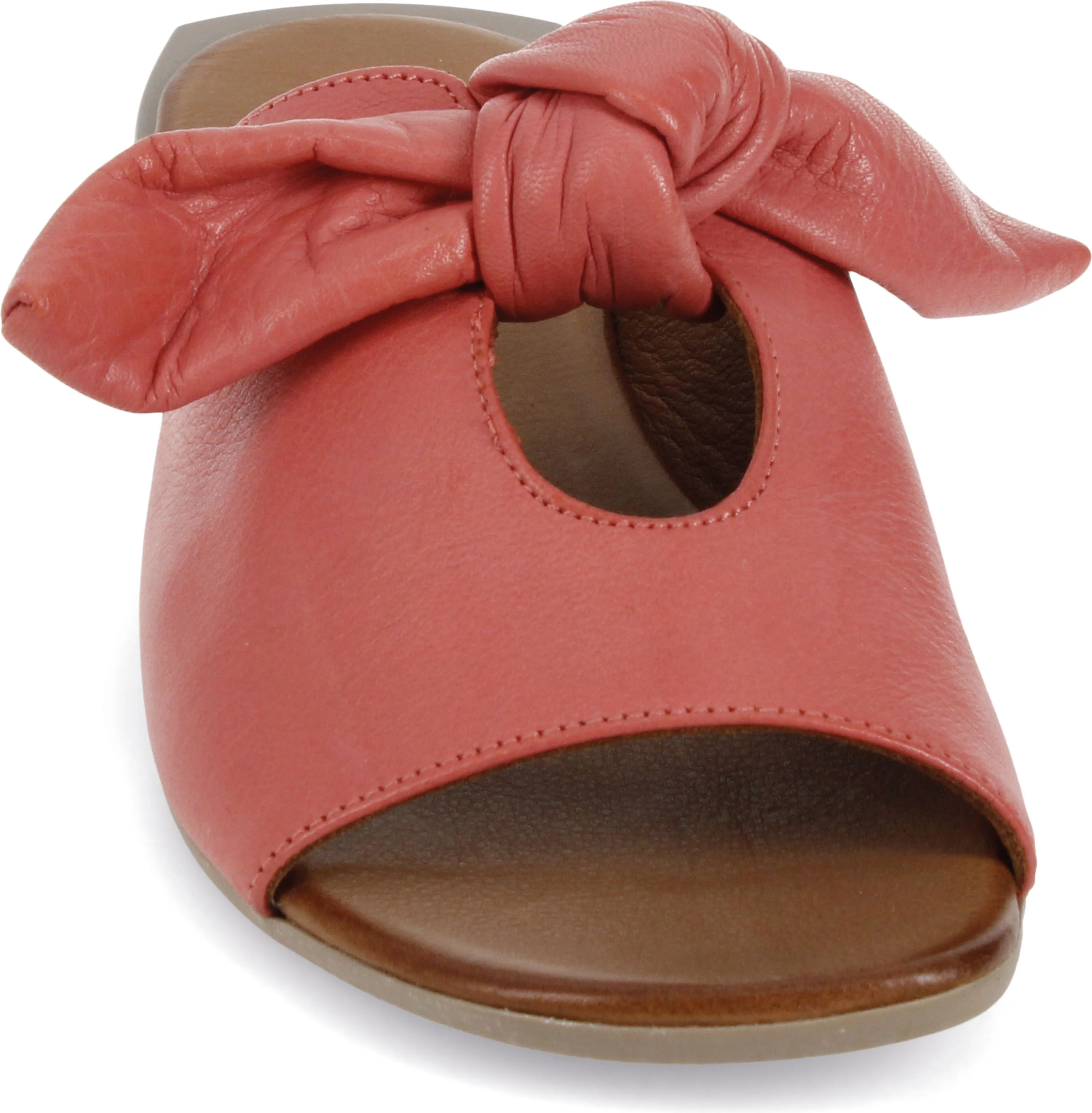 Audrey Coral - Image 4