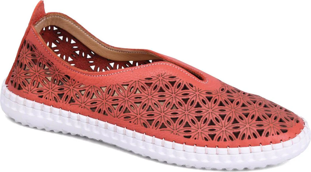 Daisy Coral
