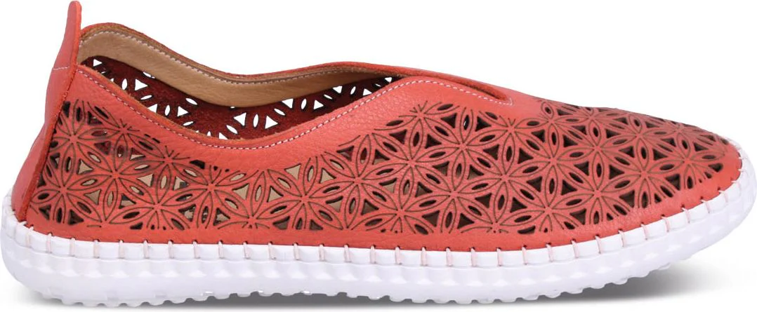 Daisy Coral - Image 2