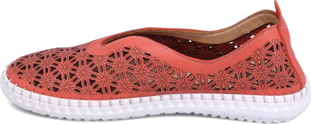 Daisy Coral - Image 3