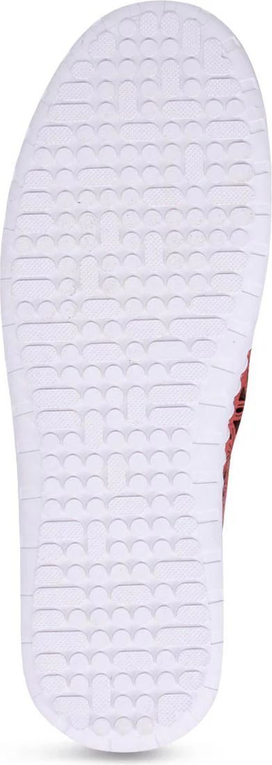 Daisy Coral - Image 7