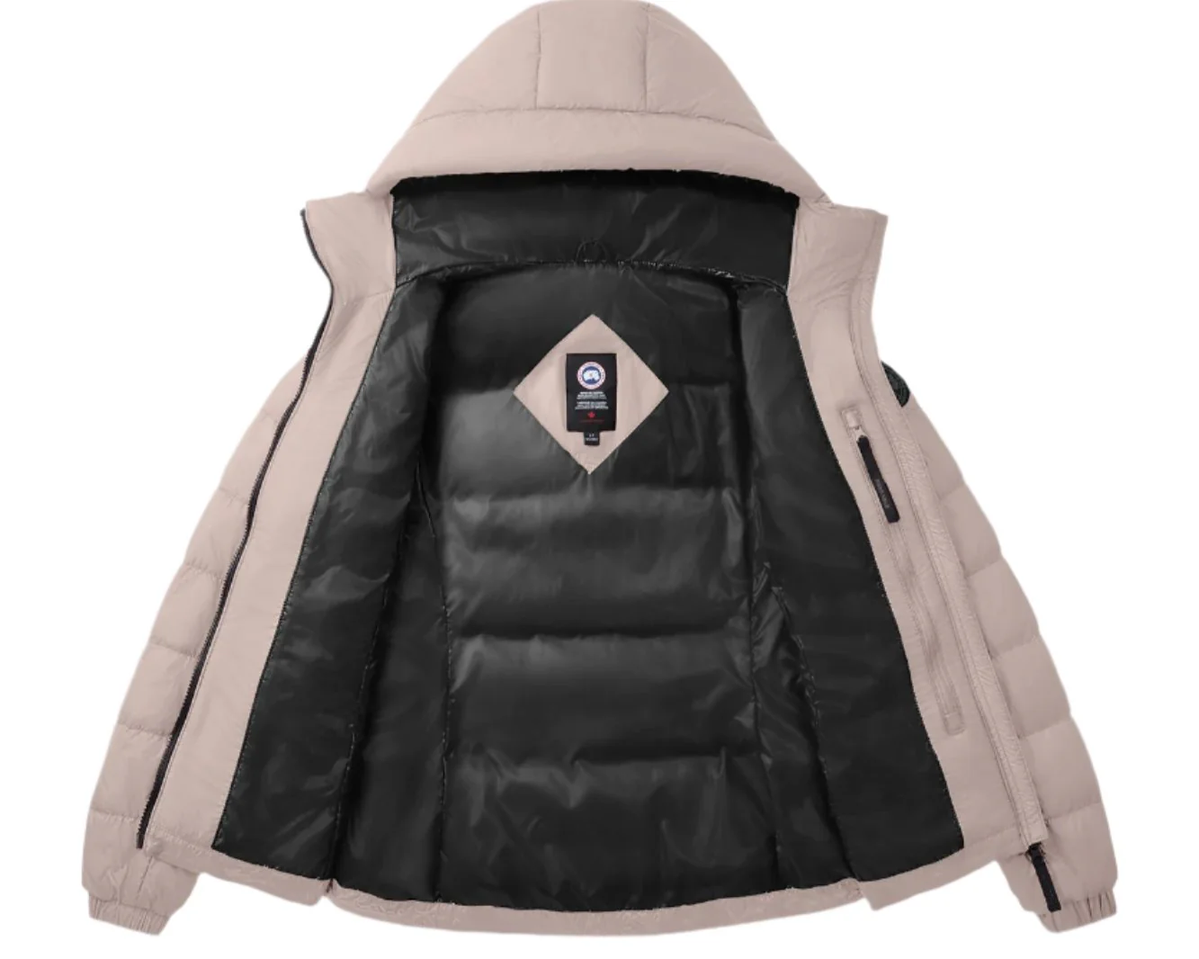Abbott Hoody Black Disc Lucent Rose - Image 2