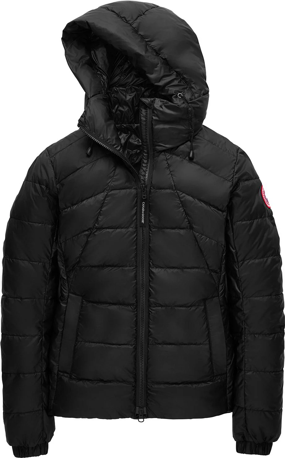 Women's Abbott Down Hoody
