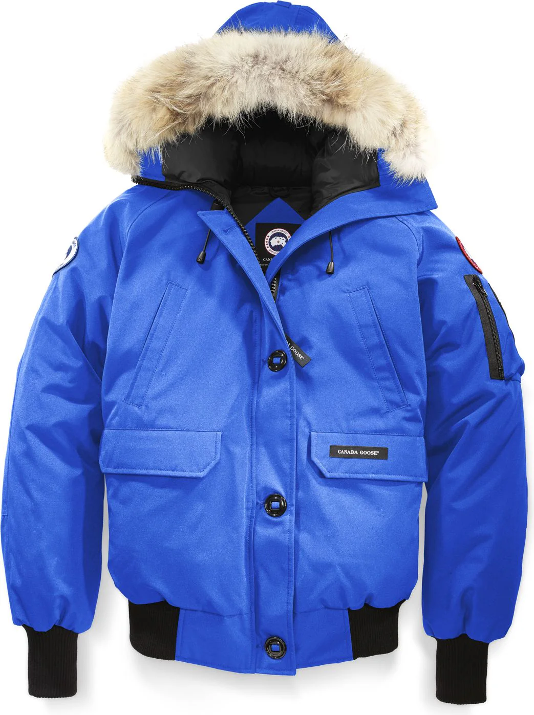 Chilliwack Bomber Polar Bears International Blue