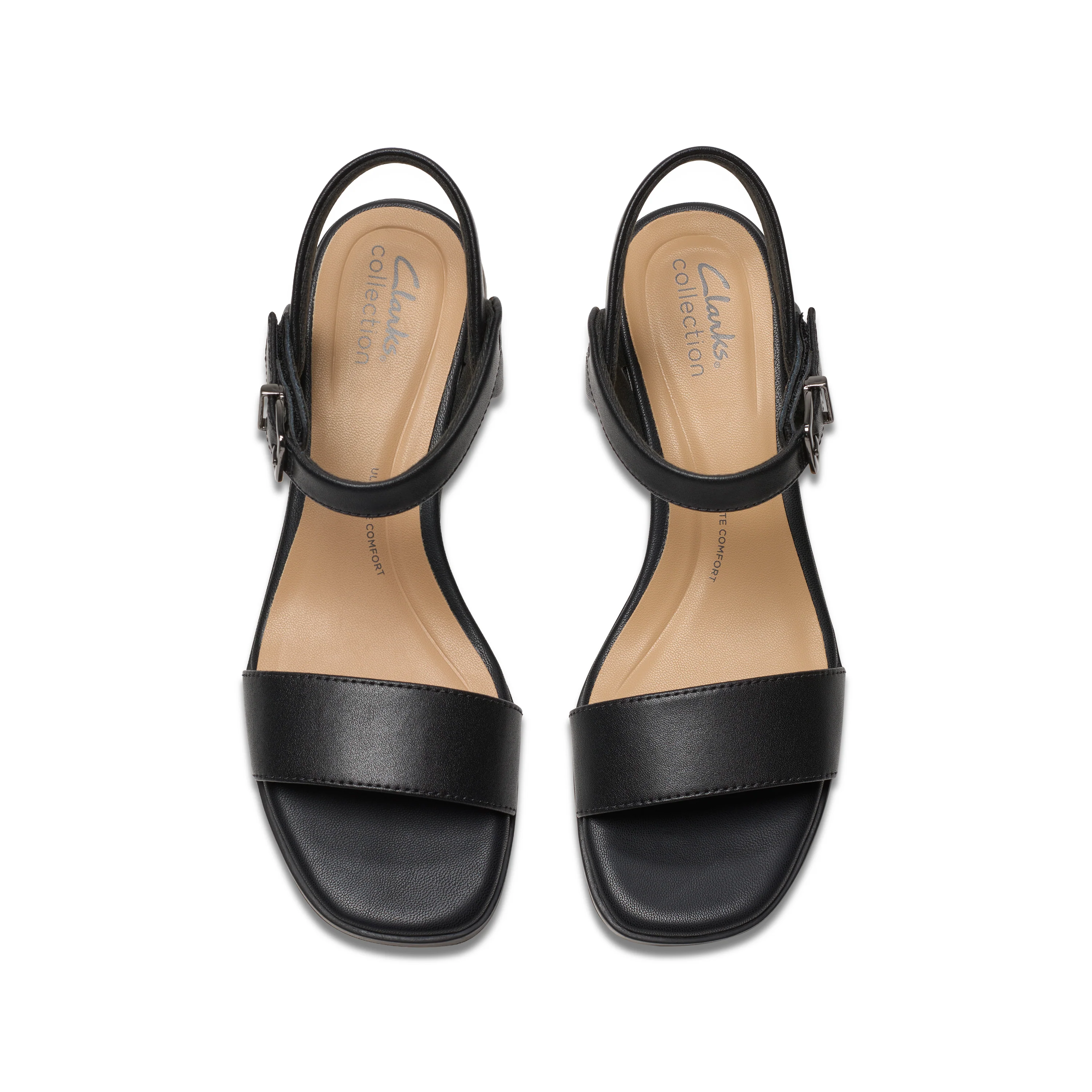 Jaylan Ray Black - Image 6