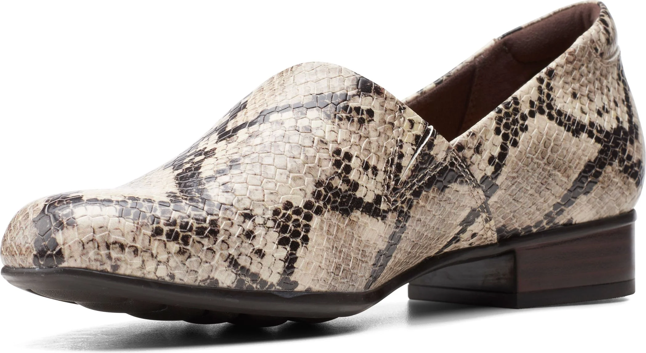 Juliet Palm Snake - Image 4