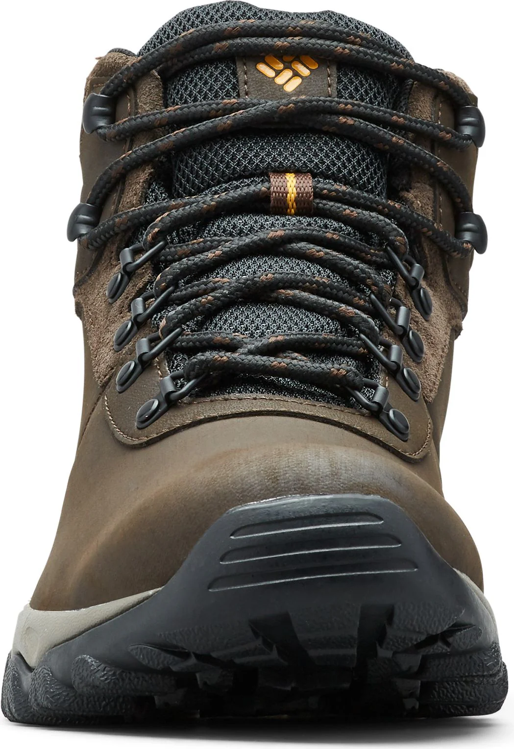 Newton Ridge Plus 2 WP Cordovan - Image 5