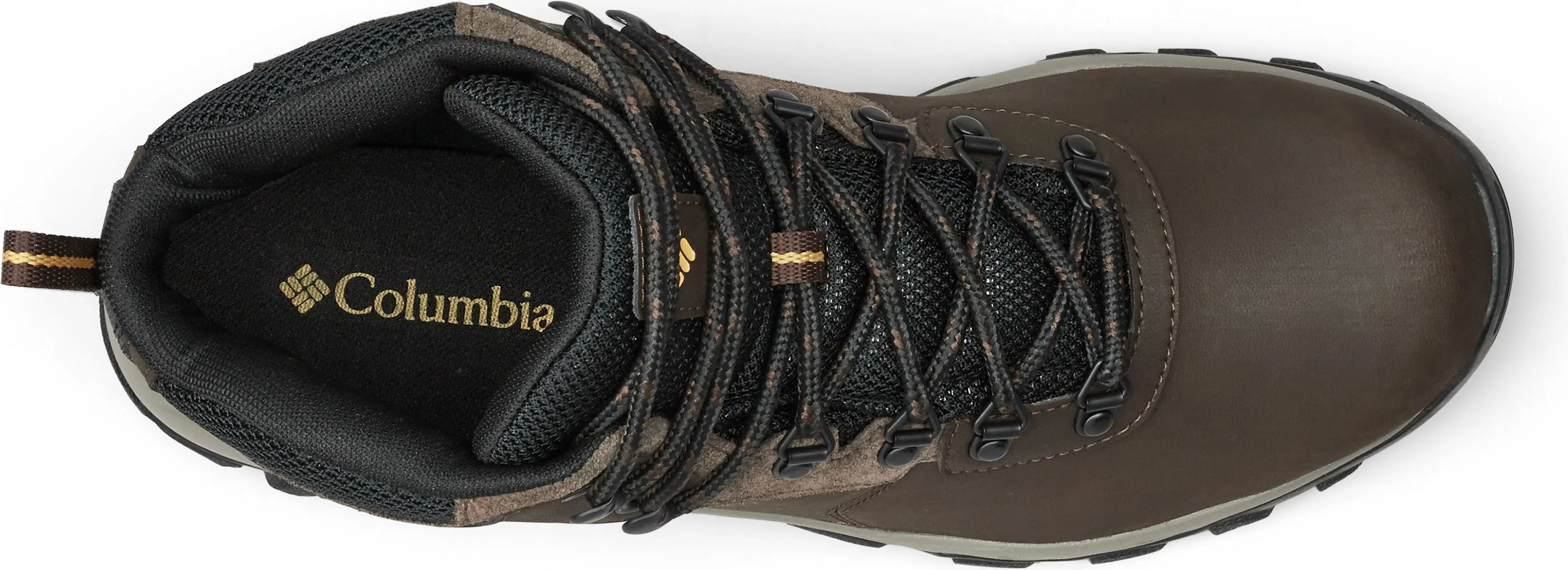 Newton Ridge Plus 2 WP Cordovan - Image 7