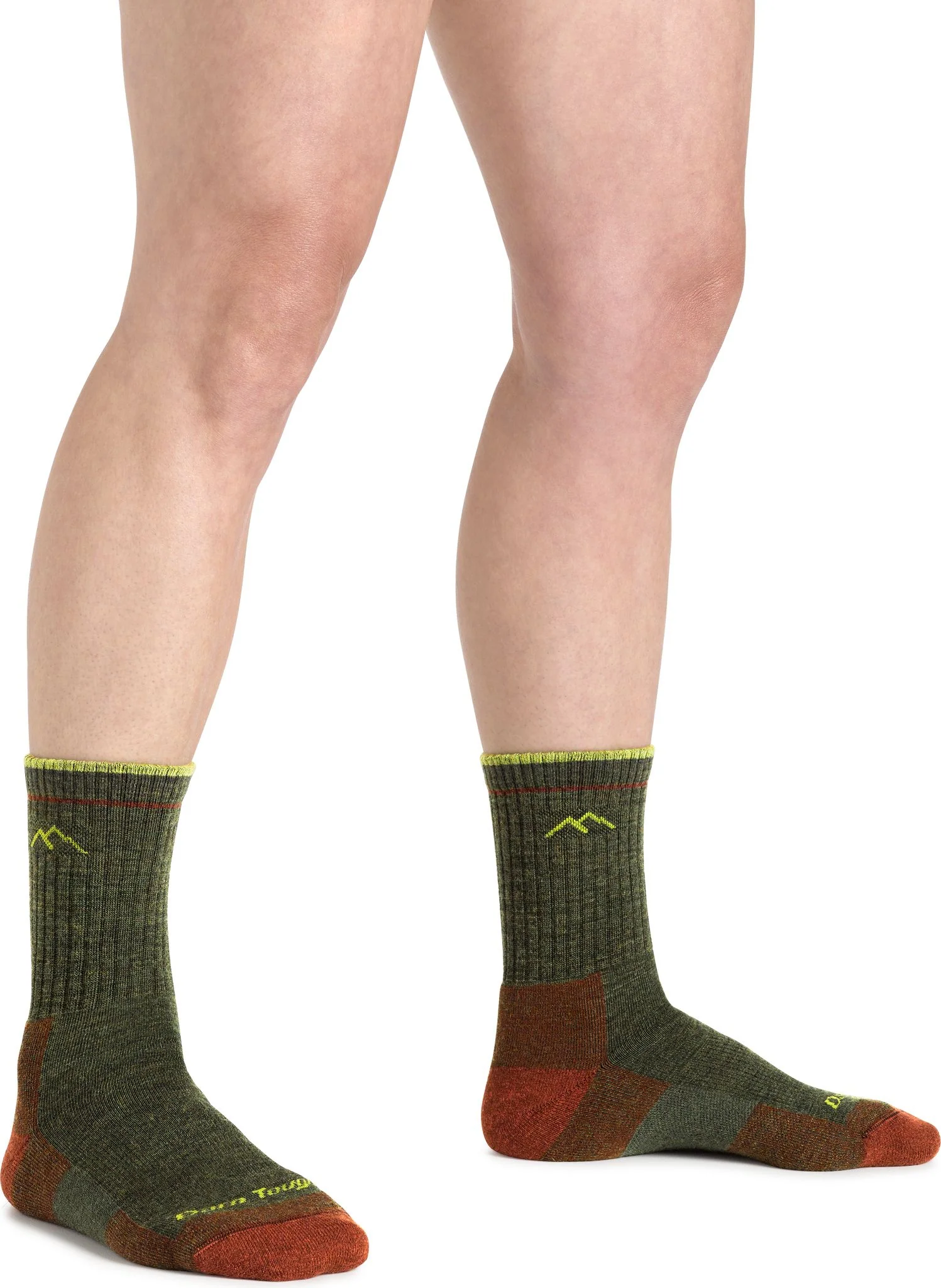 Hiker Forest - Image 2