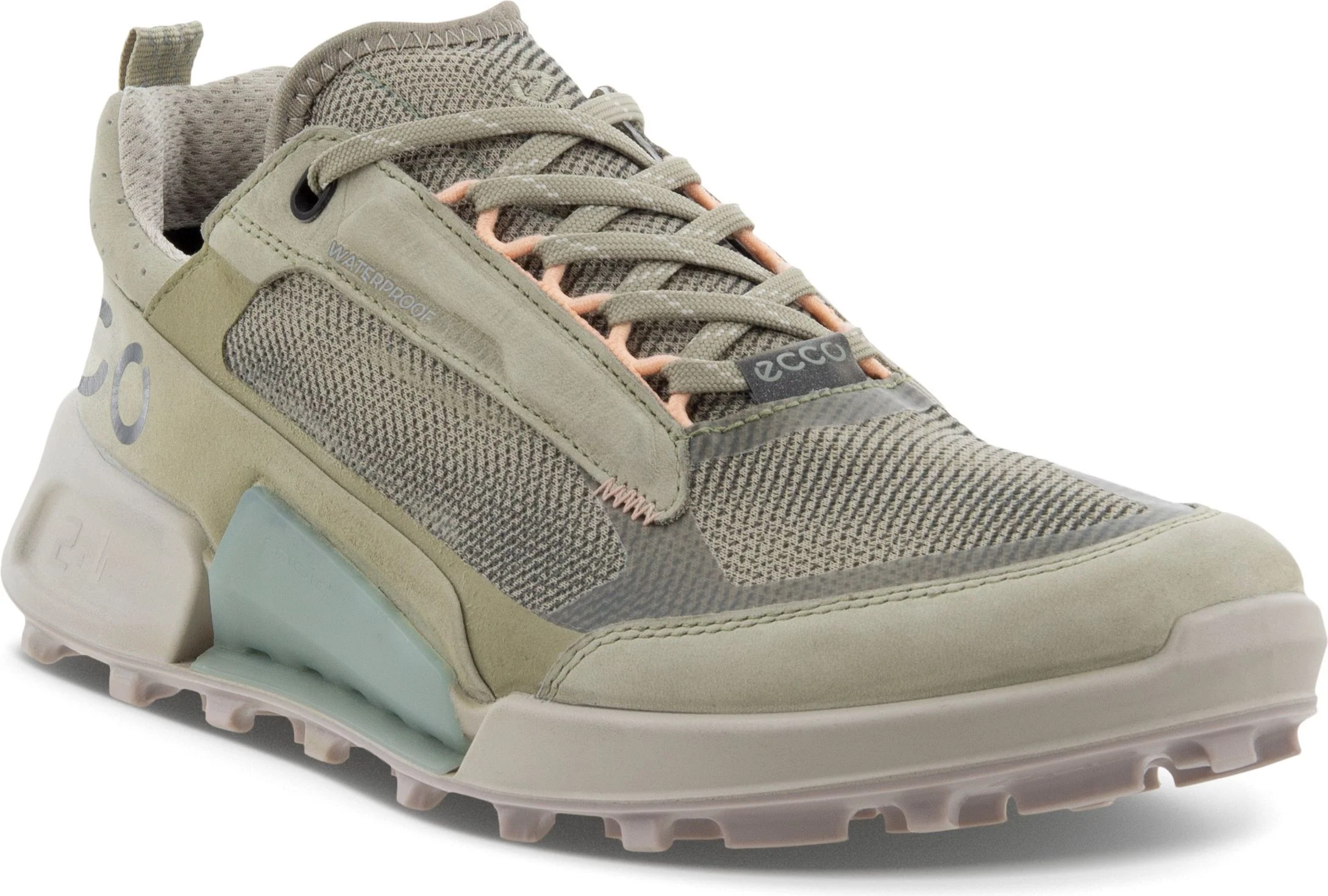 Biom 2.1 X Mountain Sage