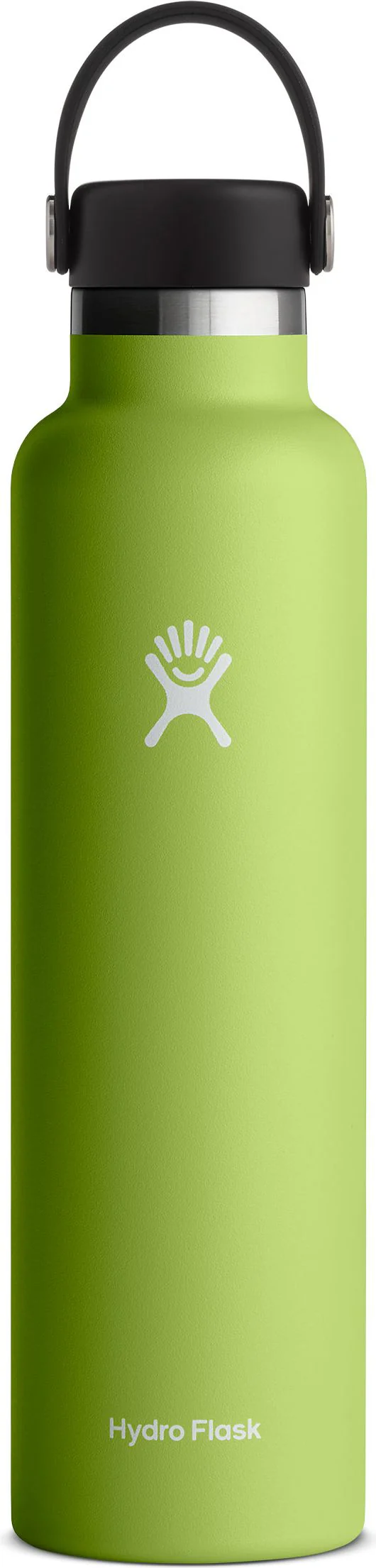 24oz Standard Mouth Seagrass