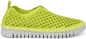 Tulip139 Lime