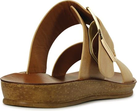Doti Camel - Image 4