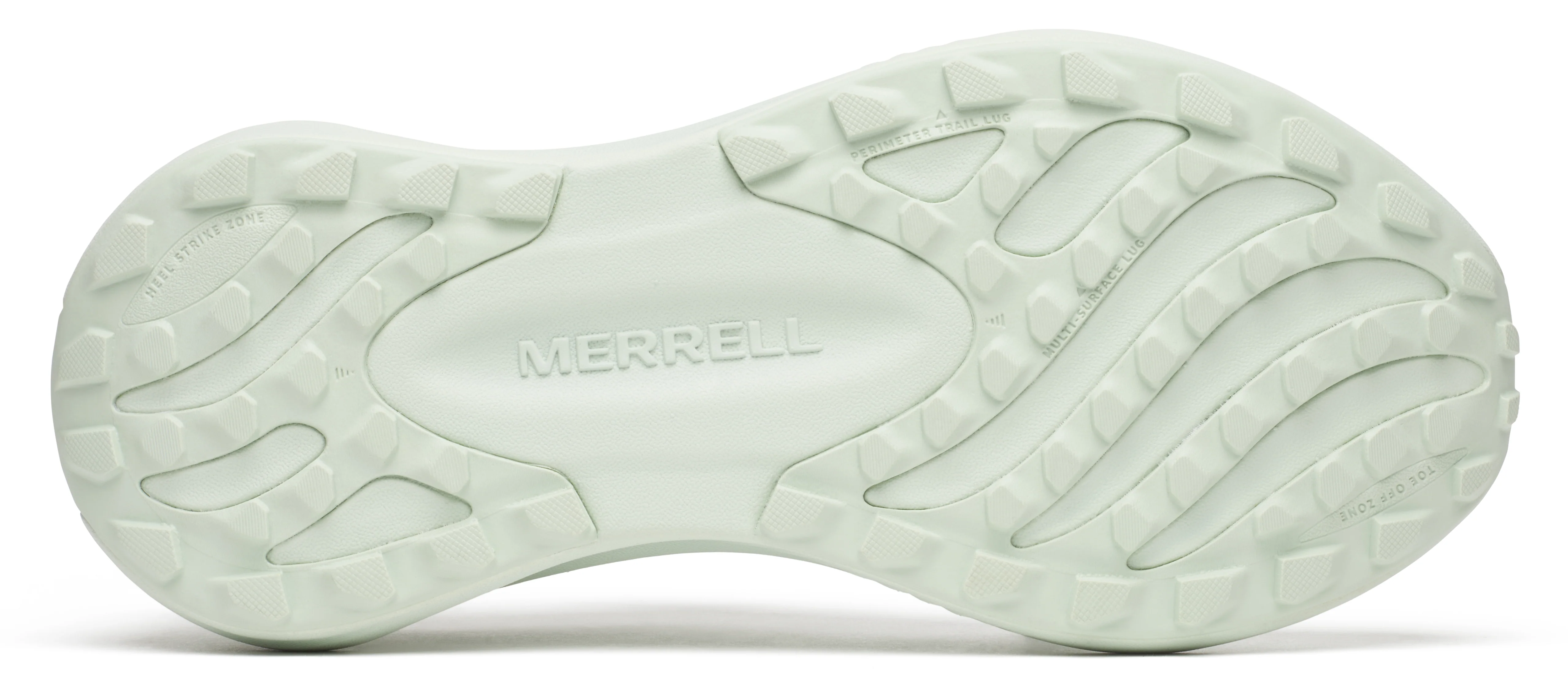 Morphlite Cucumber - Image 5