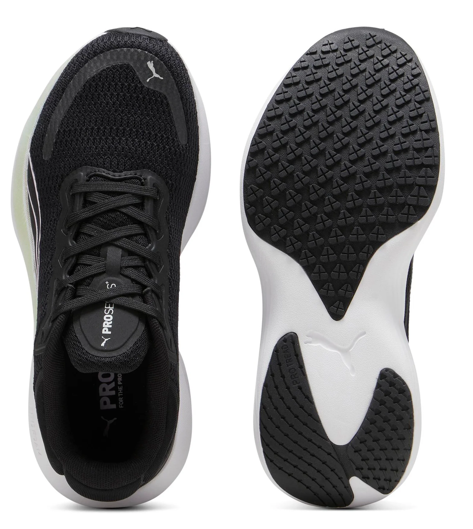 Scend Pro Black/Grape - Image 4