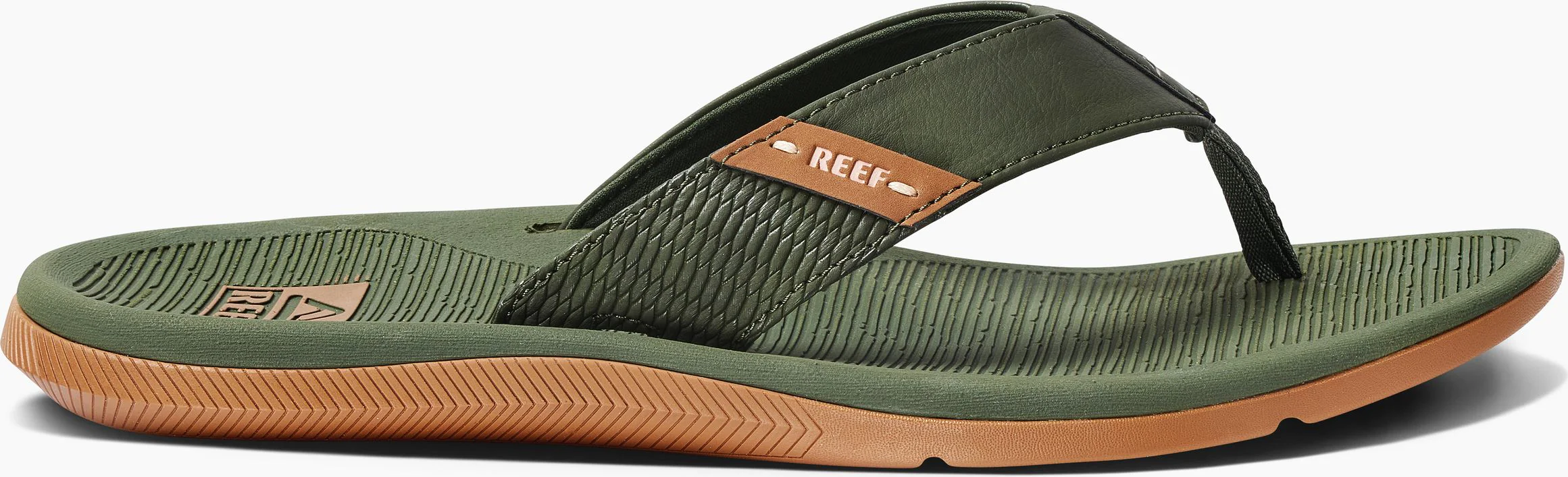 Santa Ana Olive - Image 2