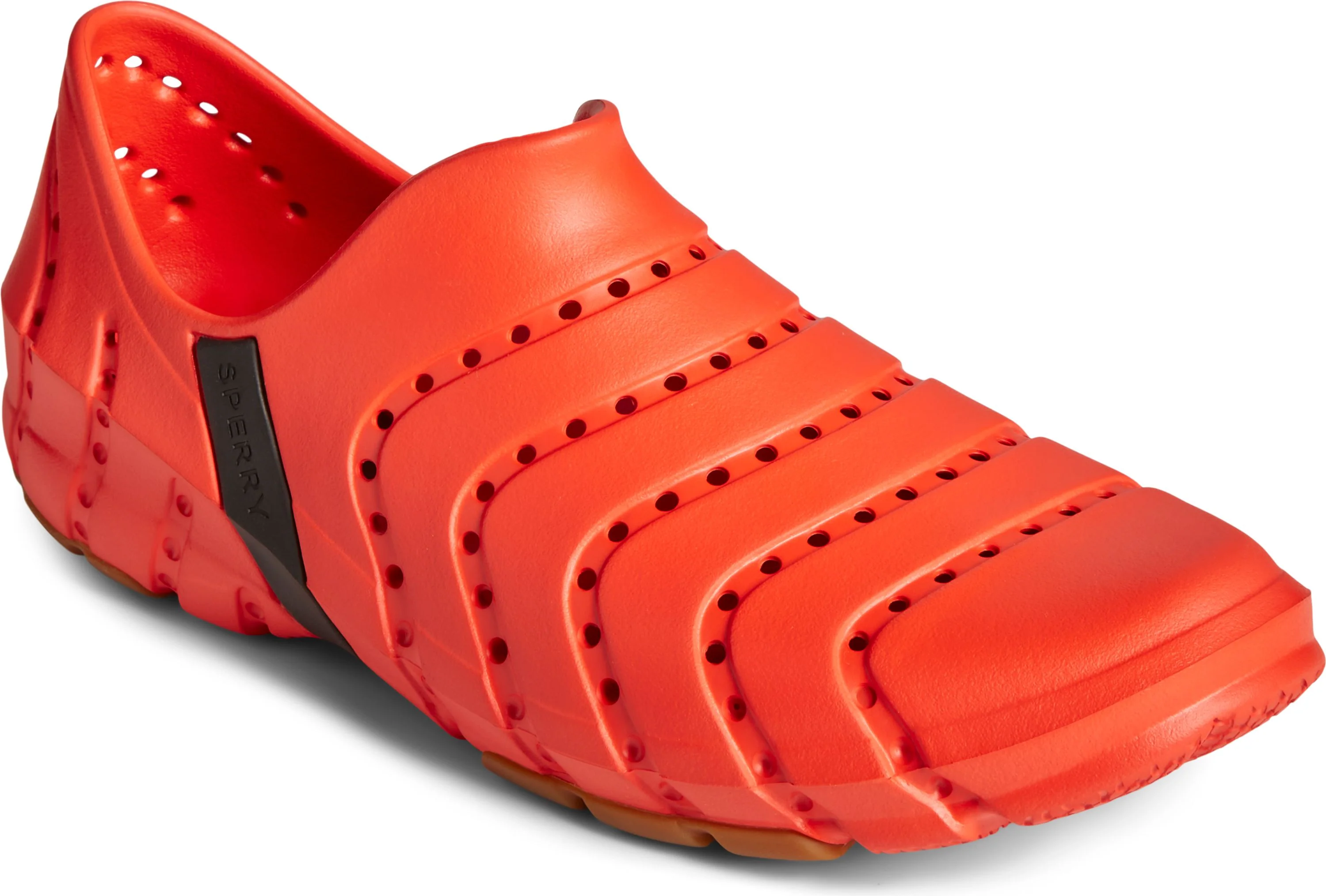 Water Strider Orange