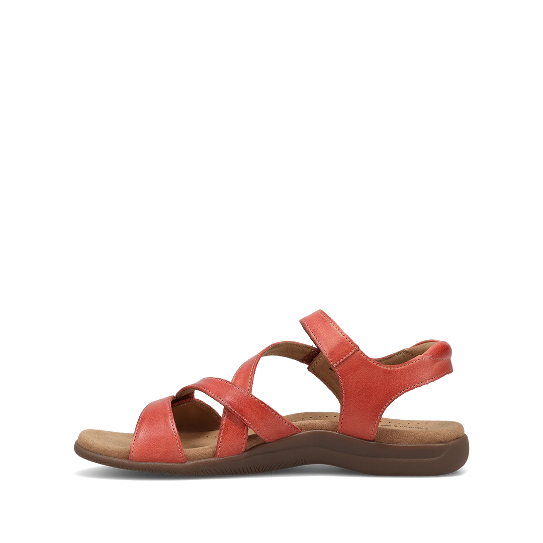 Big Time Bruschetta - Image 2