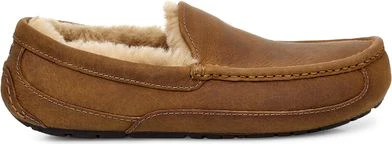 Ascot Tan - Image 2