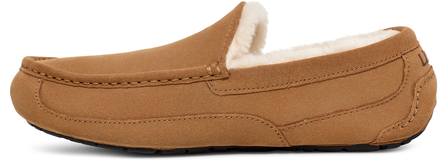 Men's Ascot Chestnut - Image 3