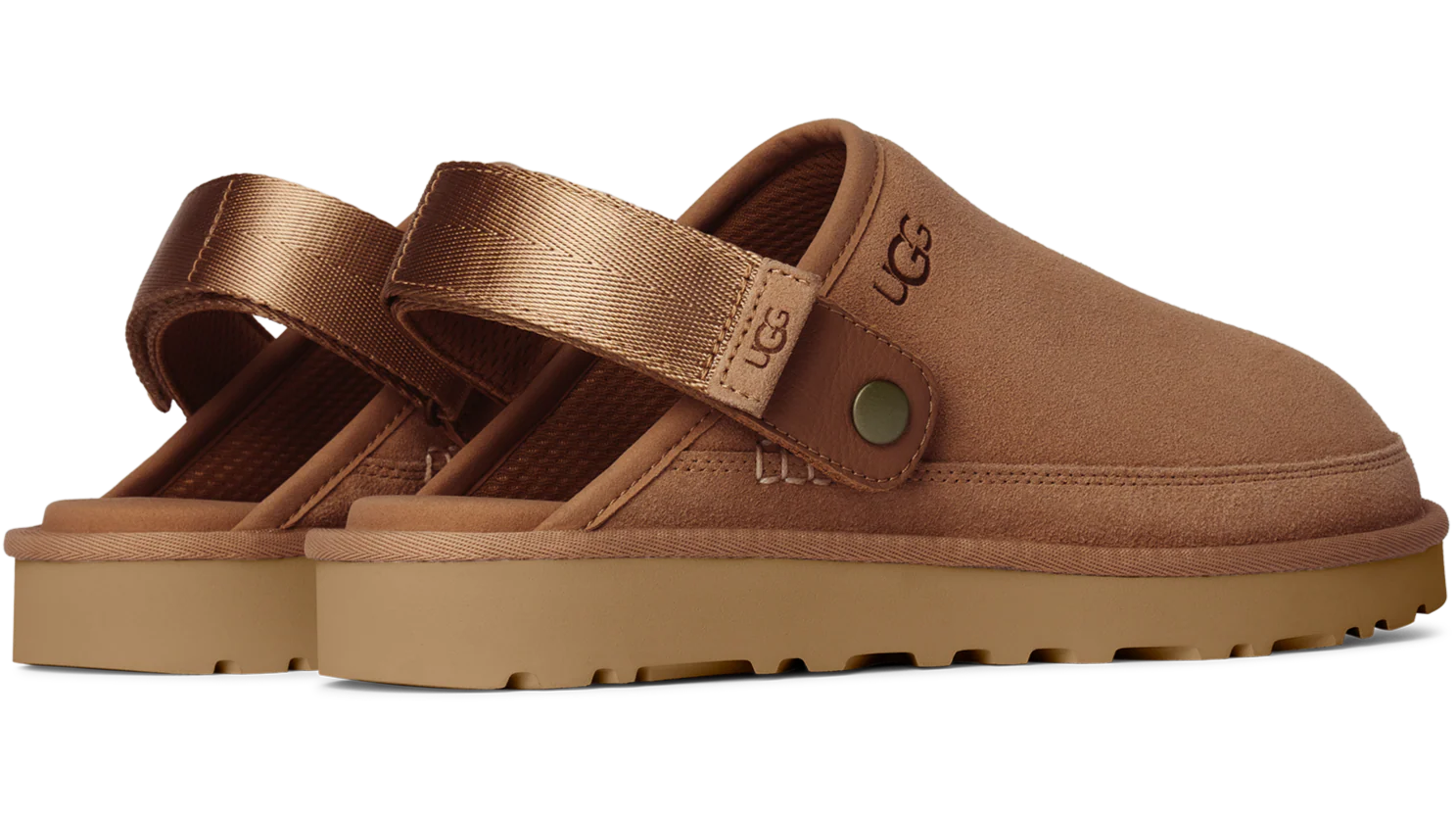 M Goldencoast Chestnut - Image 3