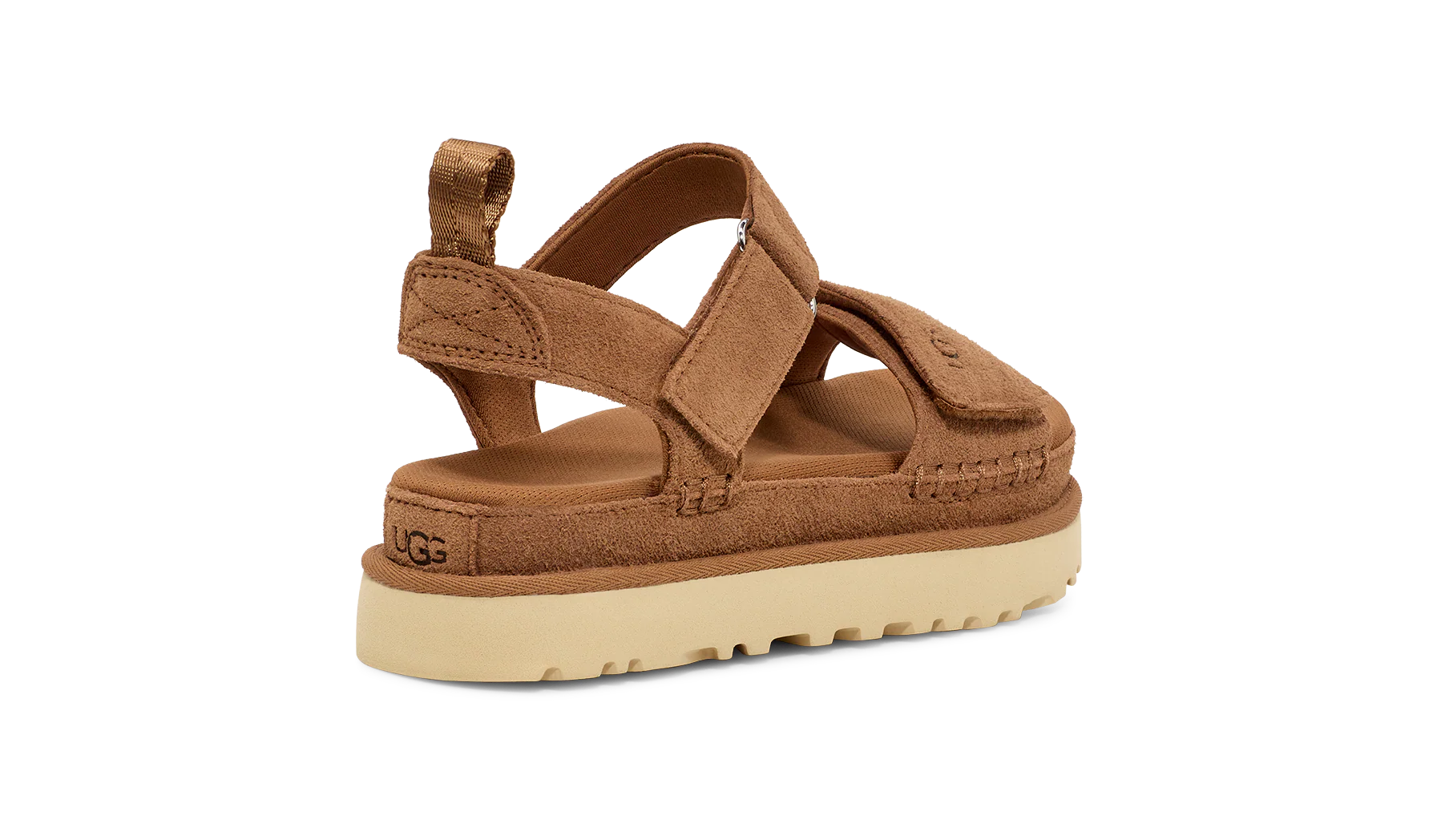 W Goldenstar Chestnut - Image 4