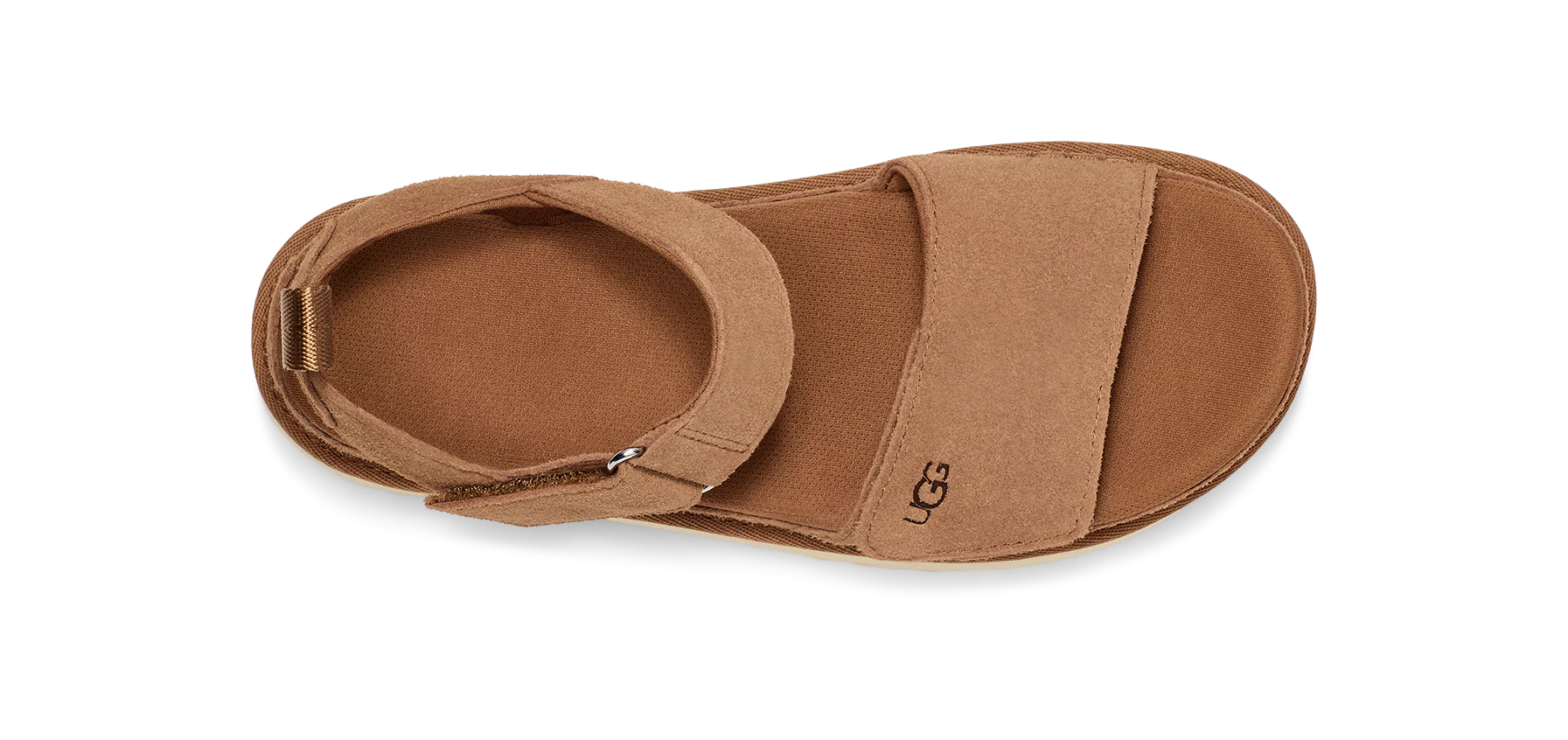 W Goldenstar Chestnut - Image 5