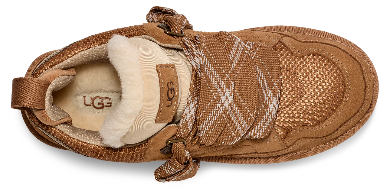 Lowmel Chestnut - Image 5